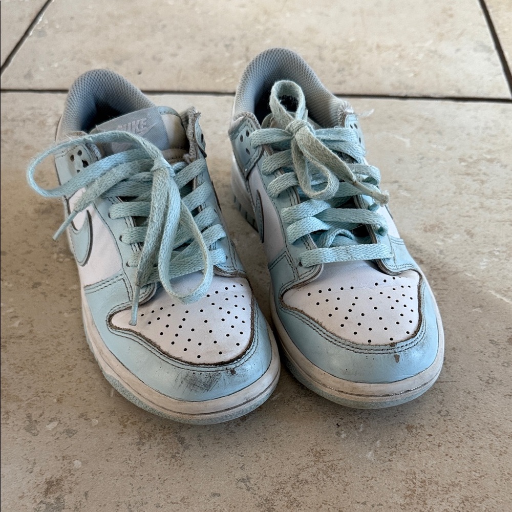 Nike Dunks Blue Sneakers
